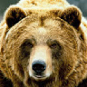 Meet your Posher, Red2864